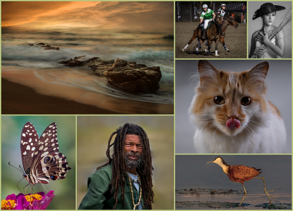 Join VDBP Photoclub